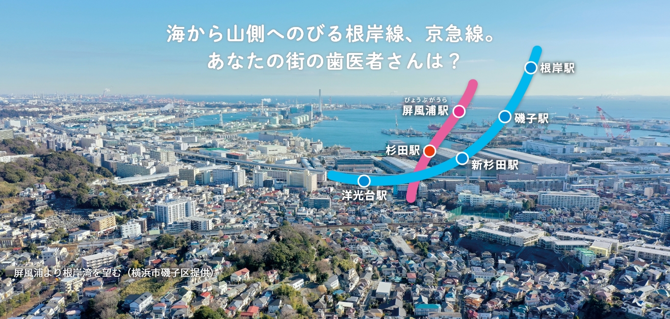 横浜市磯子区歯科医師会